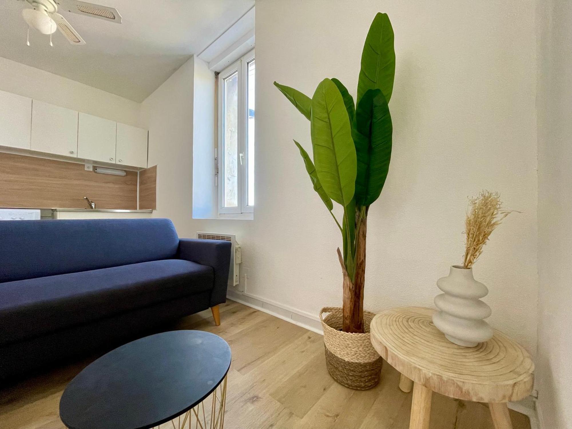 Les Appartements - Canal Du Midi 카르카손 외부 사진